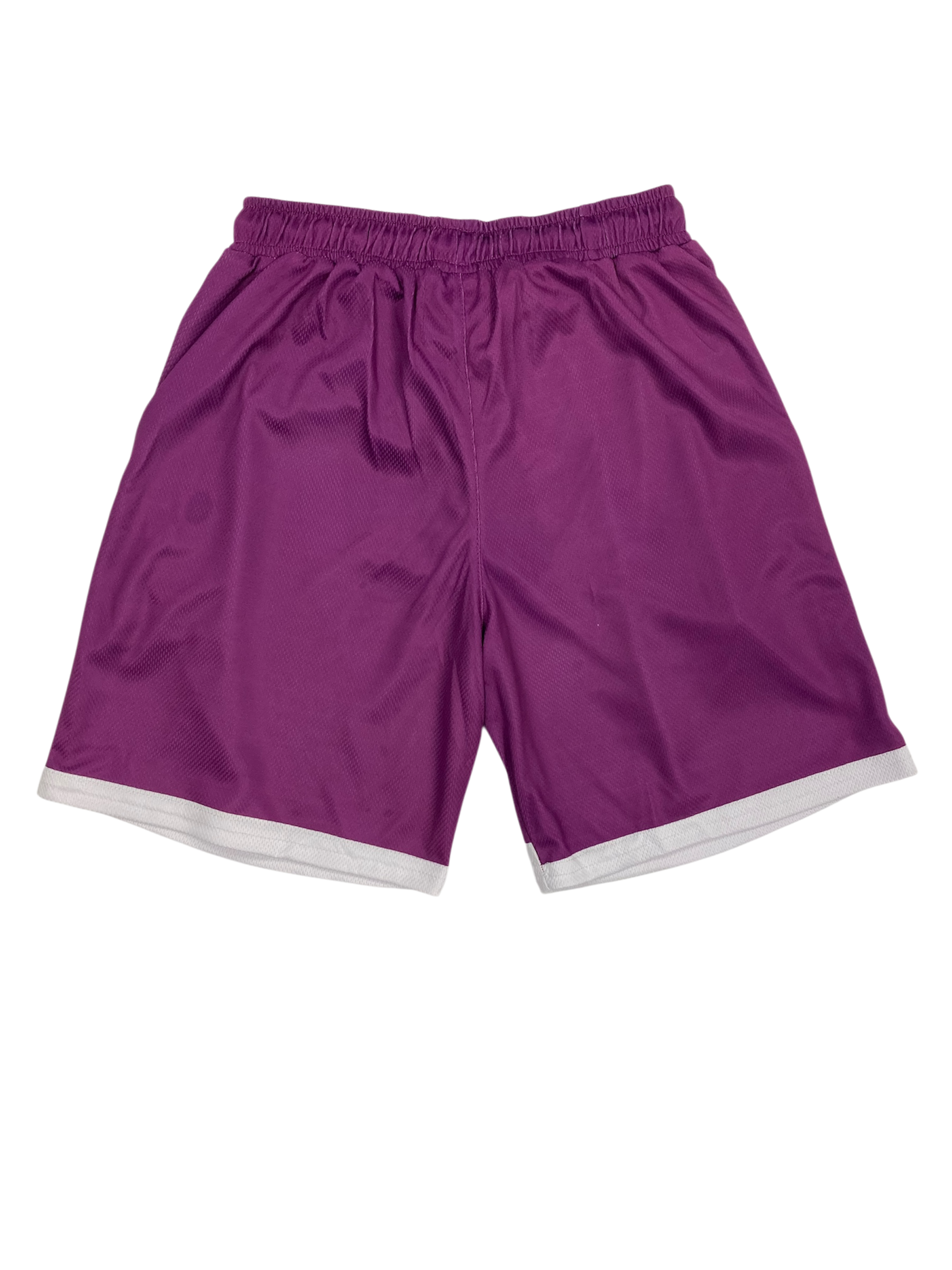 Wave Runner Mesh Shorts