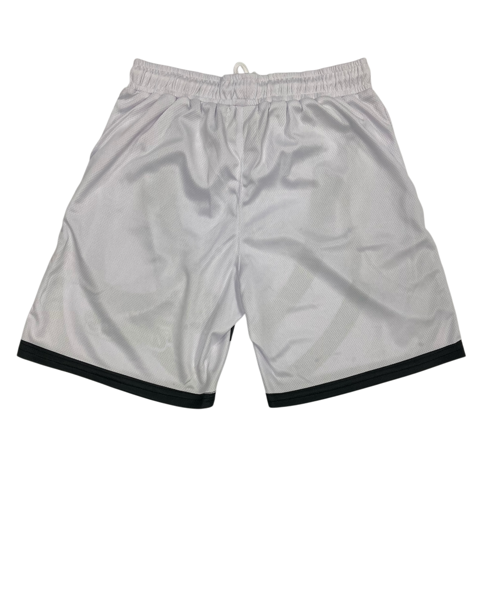 Wave Runner Mesh Shorts